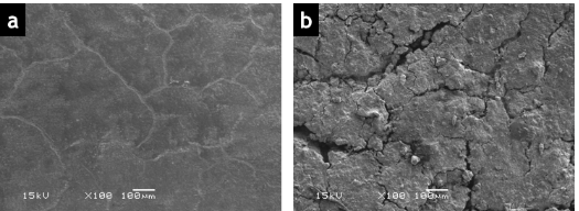 Figure ii): (2) SEM images with 100x magnification of – (a) good surface (red colour) of sleeve showing initiation of tracking and (b) cracks in the sleeve where the tracking was progressed